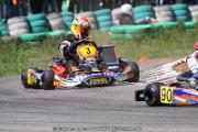 20110501_ales_agnus (3102)